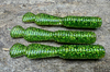 Guma Great Fish GF2 Leech 6cm | Glitter Green | bezzapachowy | 10 szt.