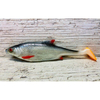 Guma SEWRO CUSTOM BAIT Płoć 18cm