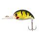 Green Perch