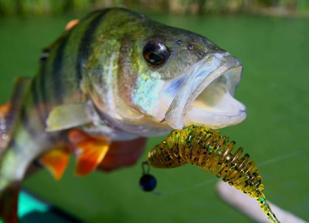 Gumy FishUp Tanta 6,1cm | 2,5" | #132 White/Bubble Gum | 8szt.