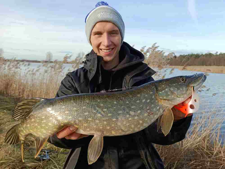 Guma Mikado Sicario Pike Tail 14cm Bloody Perch