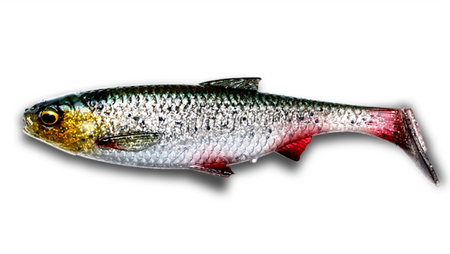 Guma Savage Gear 3D River Roach 8cm | Green Silver