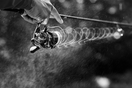 Kołowrotek Shimano Stella C3000 FK