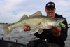 Guma Savage Gear Fat Minnow T-Tail 10,5cm | Holo Baitfish