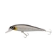 Baitfish