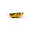 Wobler Imago Lures Pływak żółtobrzeżek 3,5cm - tonący - BK