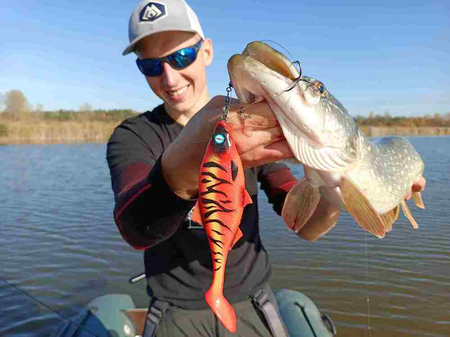 Guma Mikado MFT Roach 12cm Gold Roach
