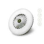 Wentylator z lampą Delphin Ventix