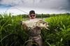 Wobler Siek Siga 8cm - tonący - Holo 1
