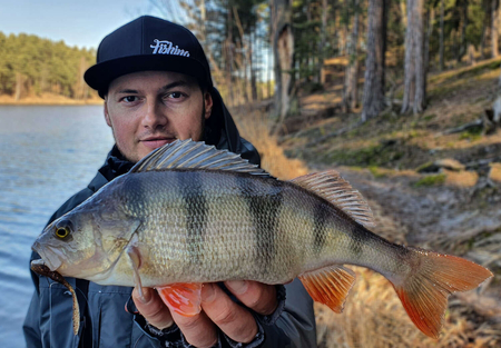 Przynęta Perch Professor F**king Leech 2,75"/7cm - #01 Original - 8 szt.