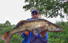 Guma Keitech Easy Shiner 4" | 10,16cm | #440 Electric Shad | 7 szt.