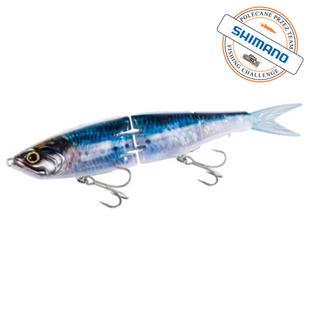 Wobler Shimano Exsence ARMAJOINT 190S FB 19cm | 55g | 008 Tr Sardine