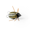 Wobler Imago Lures Maybug 3cm Surface Exclusive - pływający - BK