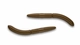 038 Brown