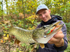 Guma Mikado Sicario Pike Tail 24cm Tench
