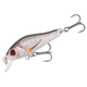 Smelt