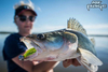 Guma Fox Rage Zander Pro Shad 18cm | Hot Olive