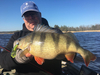 Guma Westin CreCraw Creaturebait 6,5cm | Violett Gobby