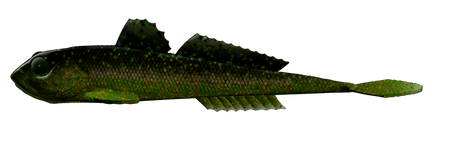 Przynęta Libra Lures Gobio 7.3" | 18.54 cm | 132 - Motor Oil Green