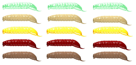 Przynęta Libra Lures Goliath 3cm | MIX | brak zapachu | 15 szt.