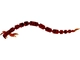 Bloodworm