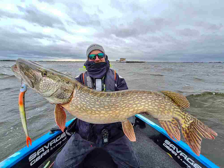 Główka z wkrętką Savage Gear Monster Vertical Heads 60g | #1/0 | White Fish