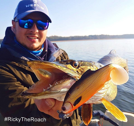 Guma Westin Ricky the Roach ST 18cm | Headlight