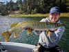 Guma Savage Gear Real Eel 20cm | Fire Tiger