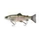 Clear Rainbow Trout