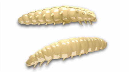 Przynęta Libra Lures Larva 4.5cm | 005 - Cheese | brak zapachu | 8 szt.