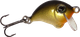 Oliwkowy / Czarny