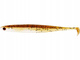 Baitfish