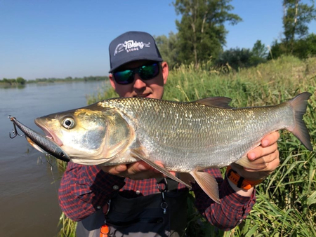 Wobler Bielik Rapid 9cm | 27g | Pomarańczowy - Edycja limitowana!