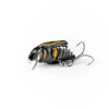 Wobler Imago Lures Maybug 2,5cm Dive - pływający - BK