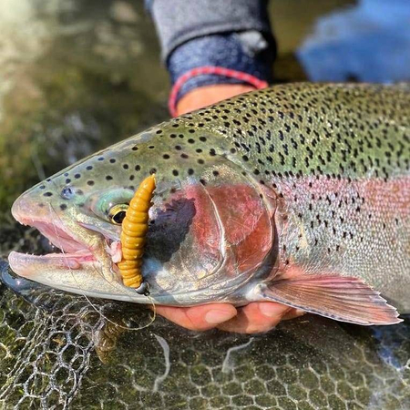 Przynęta Libra Lures Larva 4.5cm | 017 - Bubble Gum | kryl | 8 szt.