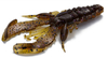 Guma Westin CreCraw Creaturebait 6,5cm | Green Pumpkin Purple