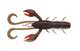 Signal Cray UV Claw