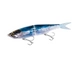 008 Tr Sardine
