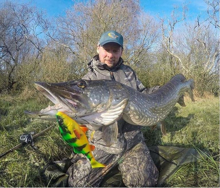 Guma Savage Gear 4D Perch Shad 12,5cm | SS | Firetiger