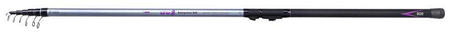 Wędka Mikado Ultraviolet II Bolognese 600cm | do 25g