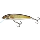 Grayling 