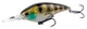  Perch