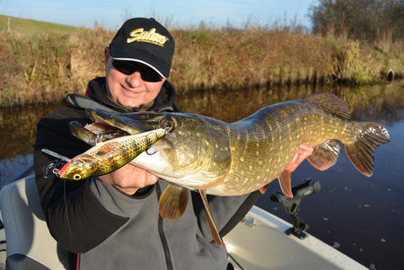 Wobler Salmo Perch 12cm | Hot Perch | pływający