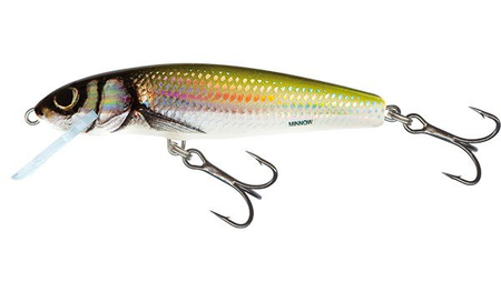 Wobler Salmo Minnow 7cm | Holo Bleak | tonący