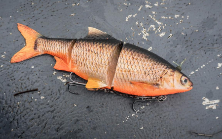 .Przynęta Westin Ricky the Roach Inline 35cm | Firetiger Rudd | tonący