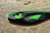 Guma Great Fish Rocky 13cm | Black Alien
