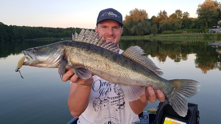 Guma Fox Rage Slick Shad 11cm | Pearl