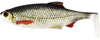 Guma Westin Ricky the Roach ST 14cm | Real Roach