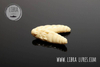 Przynęta Libra Lures Largo 3.5cm | 005 - Cheese | ser | 10 szt.