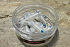 Guma Great Fish GF1 Twister 4,9cm | White Pearl | krewetkowy | 10 szt.